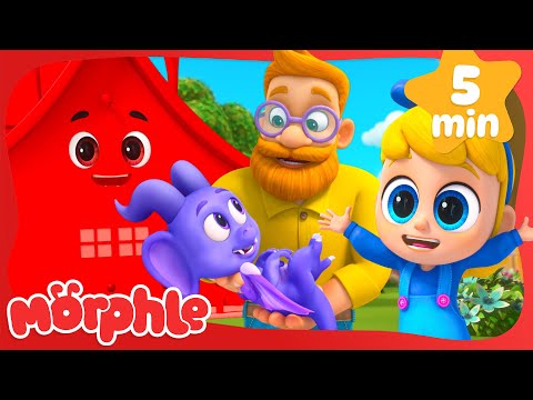 Magical Flying House Adventure with Morphle! | Morphle TV #shorts | Fun Kids Cartoon