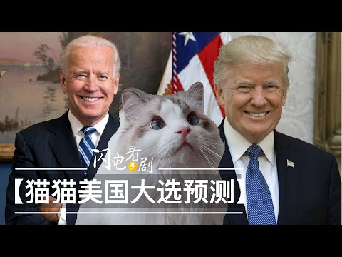 猫猫的2020美国大选预测【特朗普VS拜登】