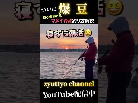 マメイカ釣れてるよ～！【北海道】【釣り】#shorts #fishing #マメイカ釣り方 #爆釣