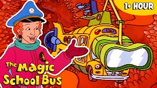 Microscopic Adventures | Full Episodes | The Magic School Bus