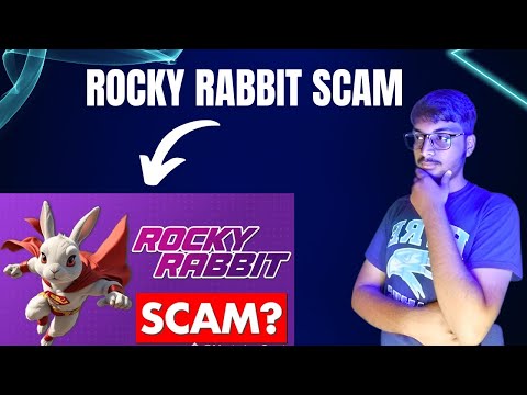 Rocky rabbit scam