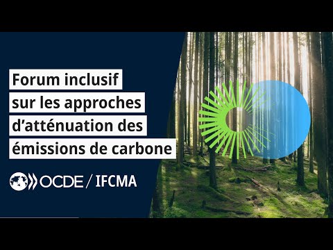 Enjeux du Forum inclusif sur les approches d’atténuation des émissions de carbone