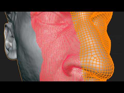 Instant Meshes Remesh 3D Model to Quads Tutorial