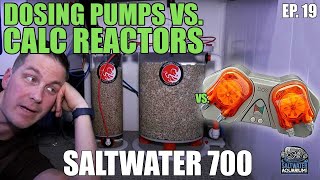 DOSING Pumps VS. Calcium Reactors - Saltwater 700