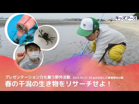 【2023 春の野外活動】干潟の生物をリサーチせよ！