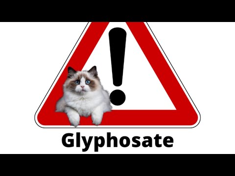 Is Glyphosate In Cat Food? | Two Crazy Cat Ladies