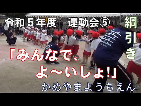 令和５年度　亀山幼稚園　大運動会⑤　綱引き