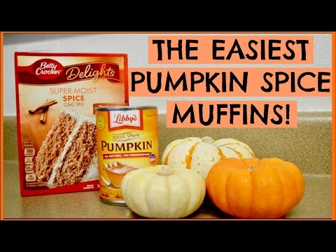 2 INGREDIENT PUMPKIN SPICE MUFFINS!