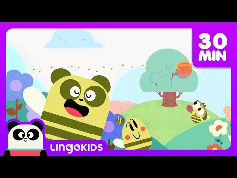 BEES DINOSAURS AND MORE FUN CARTOONS 🐝🦖 Science for Kids | Lingokids