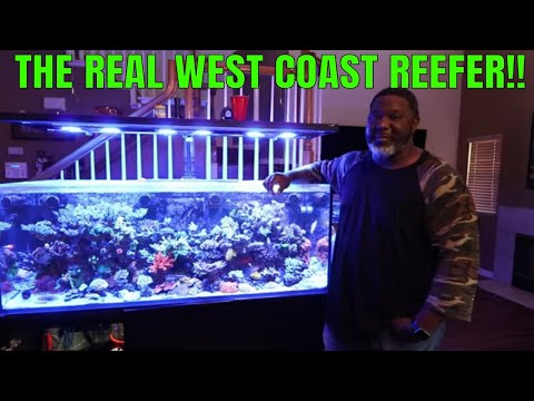 RED SEA REEFER