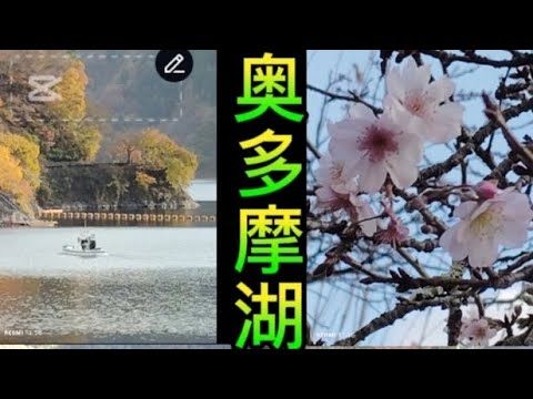 奥多摩湖（小河内ダム）遠足