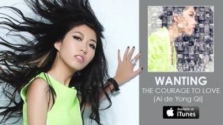 Wanting 曲婉婷 - The Courage To Love (Ai de Yong Qi) [Audio]