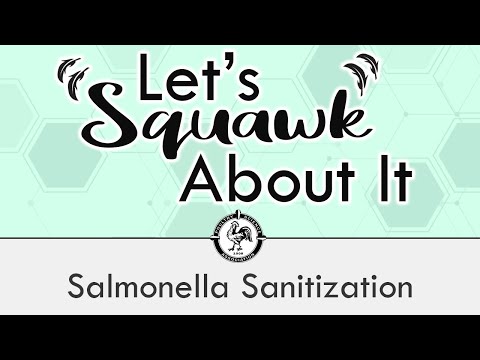 Let's Squawk About It (Ep. 6): Salmonella Sanitization