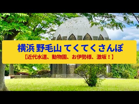 【てくてくさんぽ】横浜野毛山  近代水道のルーツ、動物園の丘〈伊勢山皇大神宮、野毛山公園〉Walk around Yokohama Nogeyama,KANAGAWA JAPAN