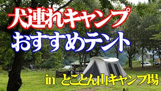 犬連れキャンプおすすめテント【コディアックキャンパス】