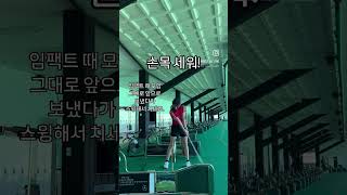 임팩트 때 스쿠핑 되시는 분들 연습법🫡 #lpga #golflesson #golfswing #passion #골프레슨 #골프스윙 #골프연습 #골프팁 #아이언스윙 #이석영프로