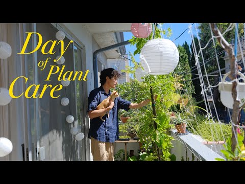 Laid-Back Plant Care | balcony garden, care tips, and project updates