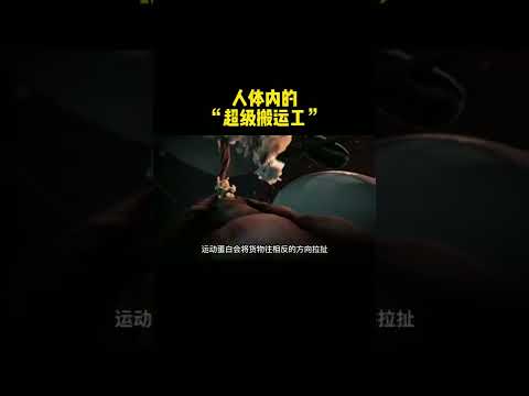 资本家见了都流泪的“超级搬运工”，每天什么都不想，只管搬搬搬 科普 涨知识 细胞#shorts