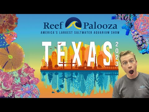 Every Coral At Reef-A-Palooza Texas 2023!