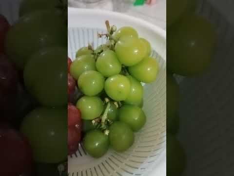 RED AND GREEN GRAPES #grape #greengrape #fruit #shorts #short #shortsvideo #shortvideo #shortsfeed