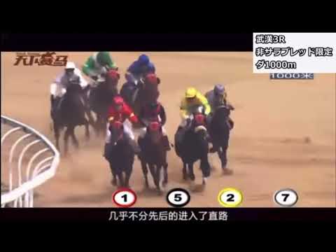 中国の競馬、サバイバルすぎるw