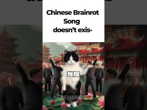 Chinese Brainrot be like