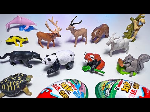 Sea Animals & Safari Animals - Pink Dolphin, Turtle, Black Panther, Panda, Reindeer, Goat, Gecko