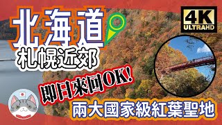 【日本旅行】北海道札幌近郊 被紅葉海包圍的兩大打卡景點【即日來回】