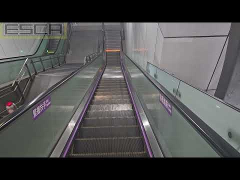 Taiwan Mie Station escalator down OTIS