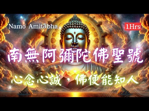 1hrs   南無阿彌陀佛聖號 Namo Amitabha， 每日一念，福報相隨，放下執念   #南無阿彌陀佛 #宇宙貝拉 #佛