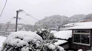 2018/1/11 長崎の雪       雪がヘビみたいになってた！