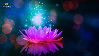 Healing Music To Calm Your Body And Mind, Deep Healing Music for The Body & Soul, Inner Peace Music