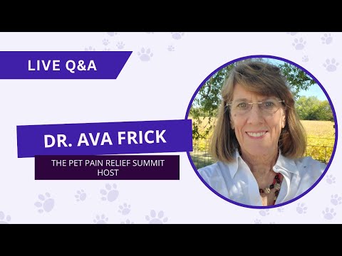 The Pet Pain Relief Summit Day 1 Live Q&A with Dr. Ava Frick