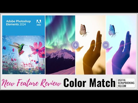 Color Match in Photoshop Elements 2024