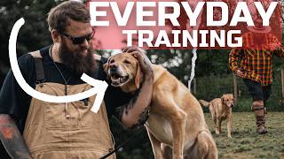 5 TRAINING EXERCISES YOU SHOULD DO WITH YOUR DOG EVERYDAY