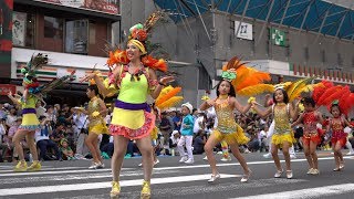 Bloco Arrastão💃🏼ブロコ・アハスタォン【38th Asakusa Samba Carnival 2019🕺第38回浅草サンバカーニバルパレードコンテスト 2019】