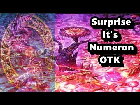 Surprise It's Numeron OTK