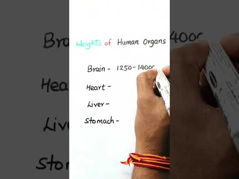 Human Organs | Weights