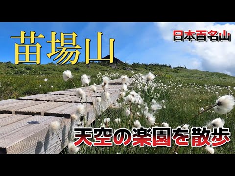 【苗場山】天空の楽園トレッキング