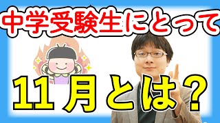 中学受験生の11月の過ごし方【最後の追い込み】