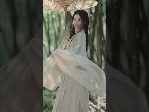 古典音樂合集 - Guzheng Chinese Music | 超好聽的中國古典音樂 古箏、琵琶、竹笛、二胡 中國風純音樂的獨特韻味 - 古箏音樂 放鬆心情 安靜音樂 冥想音樂