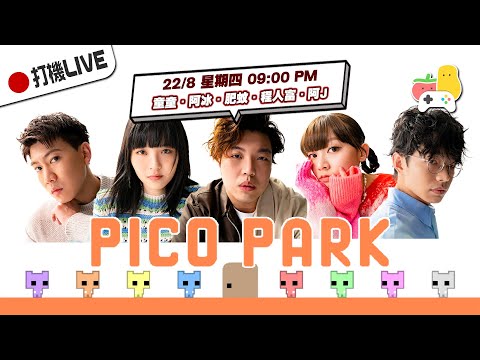 【打機直播 🎮 #13】Pico Park｜童童．阿冰．肥蚊．人富．阿J｜Pomato 小薯茄