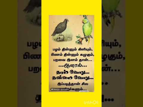 கிளியும் கருடனும் #tamil #quotes #shortsvideo #trending #shortsviral #shortsfeed #shorts #motivation