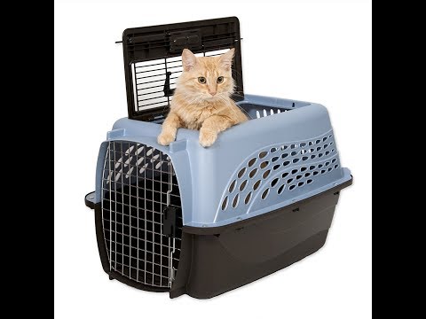 Petmate Two Door Top Load Kennel review