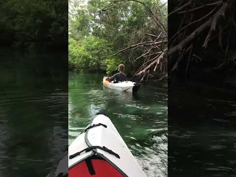 Oru Kayaks at Weeki Wachee Springs