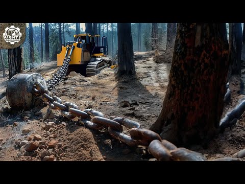 CRAZY Powerful Forestry, Wood Crushing, and Land Clearing Machines That Are On Another Level