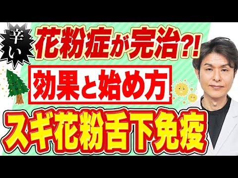 スギ花粉症を治す薬！？舌下免疫療法の効果、症状改善に必見！舌下免疫療法の正しい使い方と効果【スギ花粉舌下免疫療法】