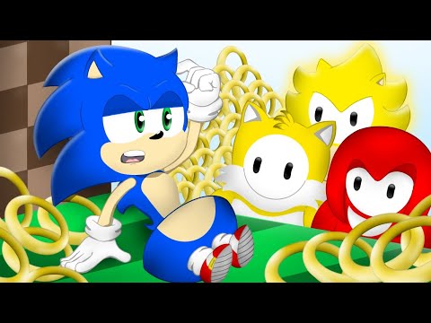 The Sonic Fall Guys Experience