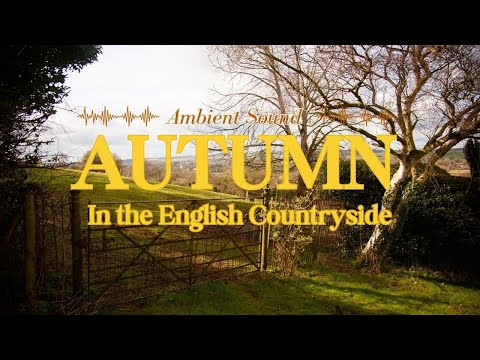 Beautiful Autumn in the English Countryside: Ambient Sound to Brighten Your Day