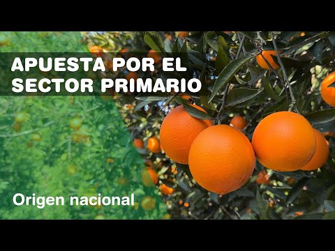 Campaña Naranjas Nacionales en Mercadona